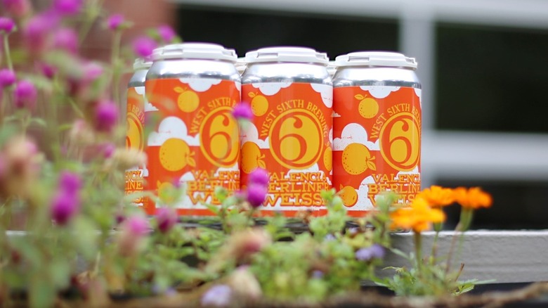 A six pack of beer cans on a wooden bench with purple flowers in the foreground