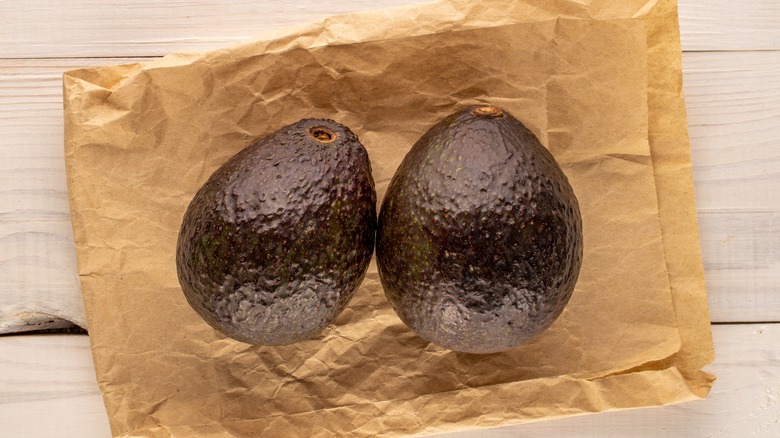 Two avocados on top of a brown bag