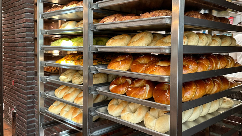 Bagels on a cooling rack