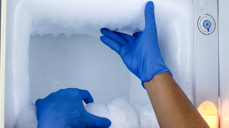 An individual cleaning a frozen freezer.