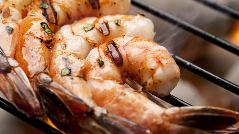 Close-up of grilled shrimp