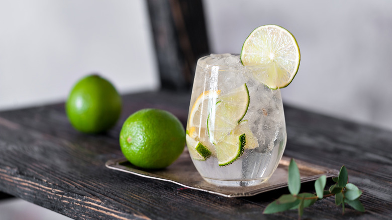 Vodka tonic with lime and lemon