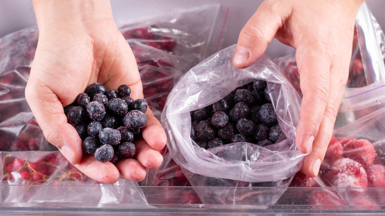 Hand placing blueberries in a freezer bag.