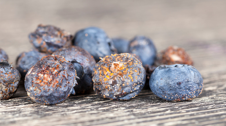 Spoiled blueberries on a wooden counter. 