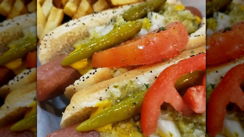 Two Chicago style hot dogs