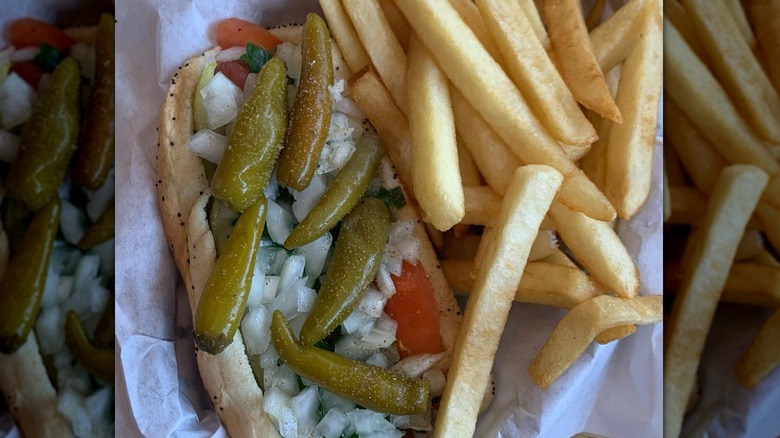 Chicago style hot dog