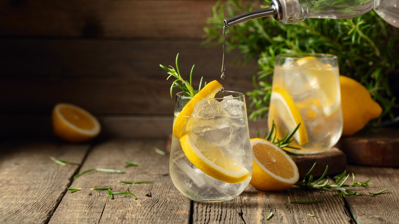 Tonic water and lemon in glass