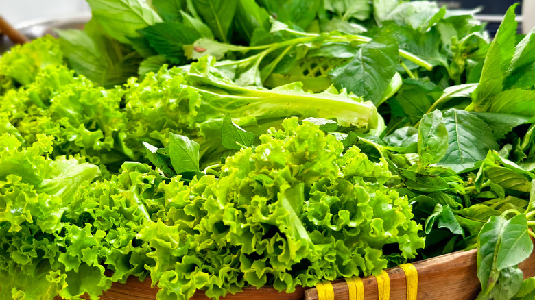 A basket full of various leafy greens