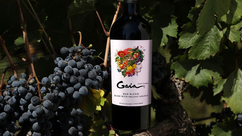 Bottle of Gaia red wine