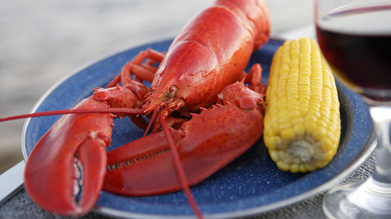 lobster, corn on the cob