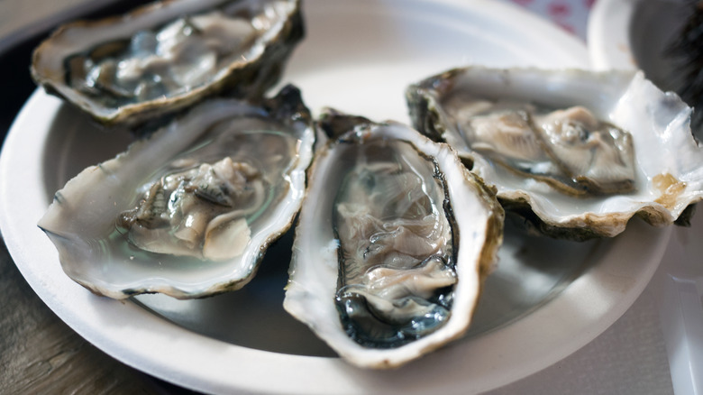 four raw oysters on a plate