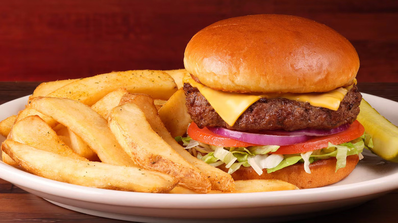 A cheeseburger with fries from Texas Roadhouse