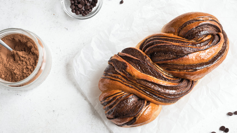 chocolate babka with cocoa powder and chocolate chips