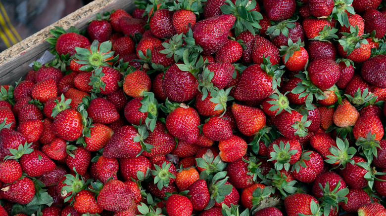 Filled crate of fresh strawberries