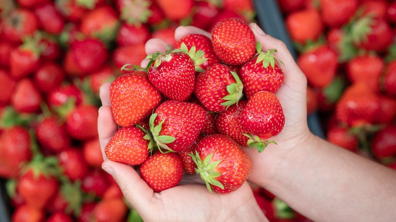 Person holding handful of strawberries