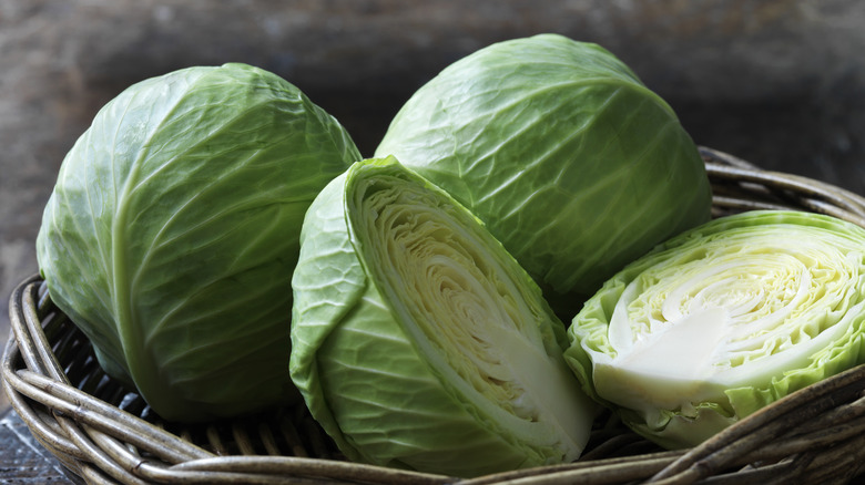 Green cabbage heads