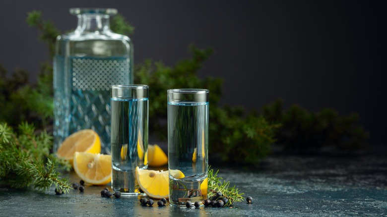 gin displayed in shot glasses