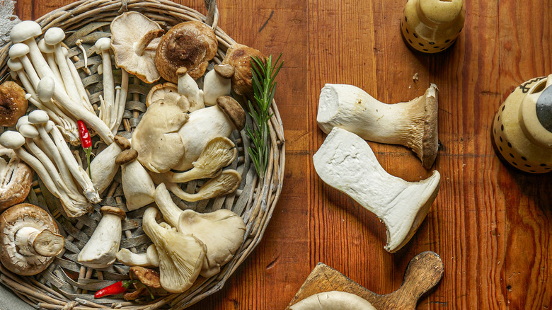 different mushroom varieties