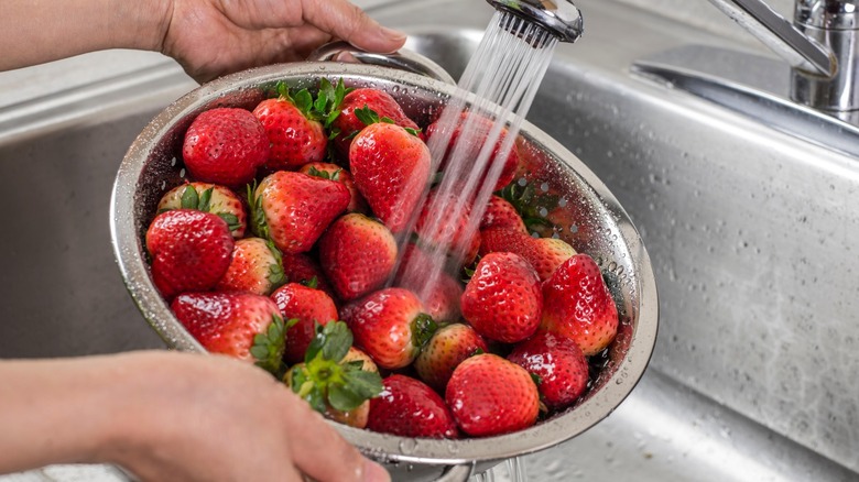 washing strawberries in collander