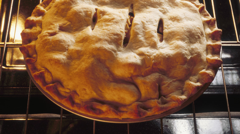 Full crust apple pie resting on an oven rack