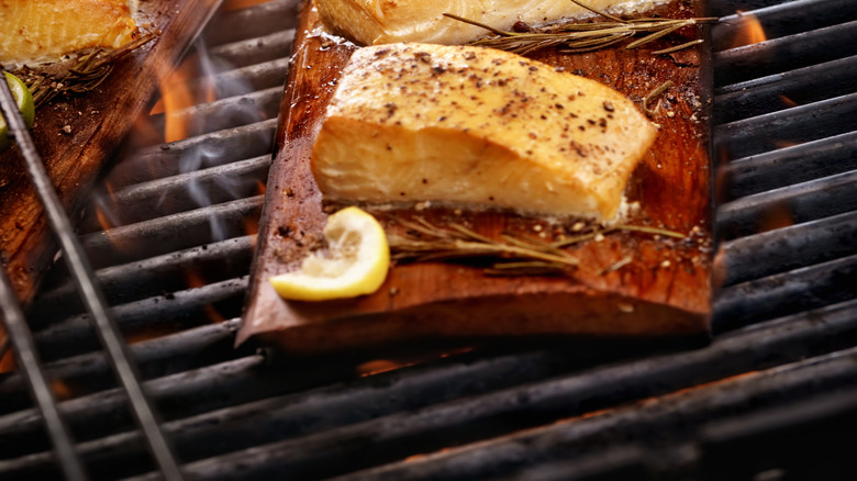 salmon on cedar plank on grill