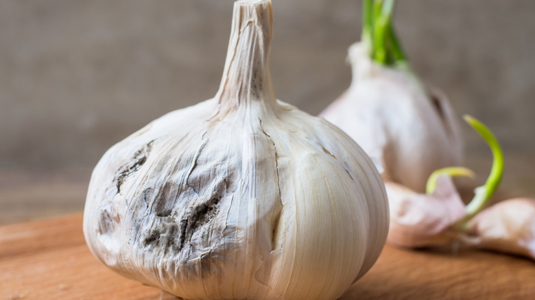 Close up of rotting garlic