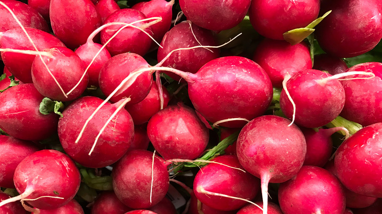 pile of ripe radishes