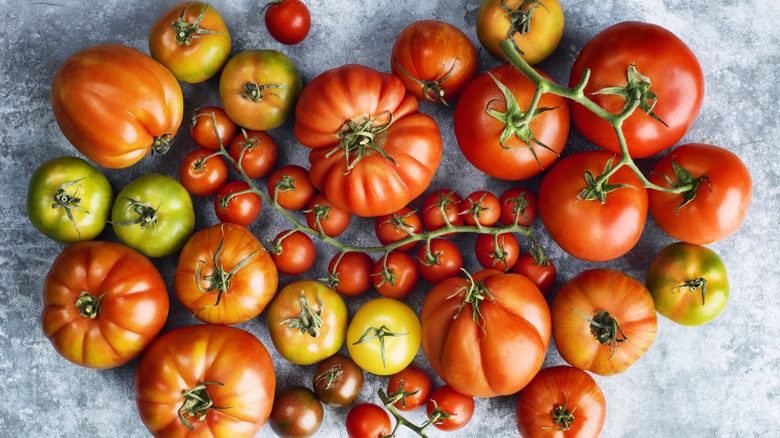 Different kinds of tomatoes displayed