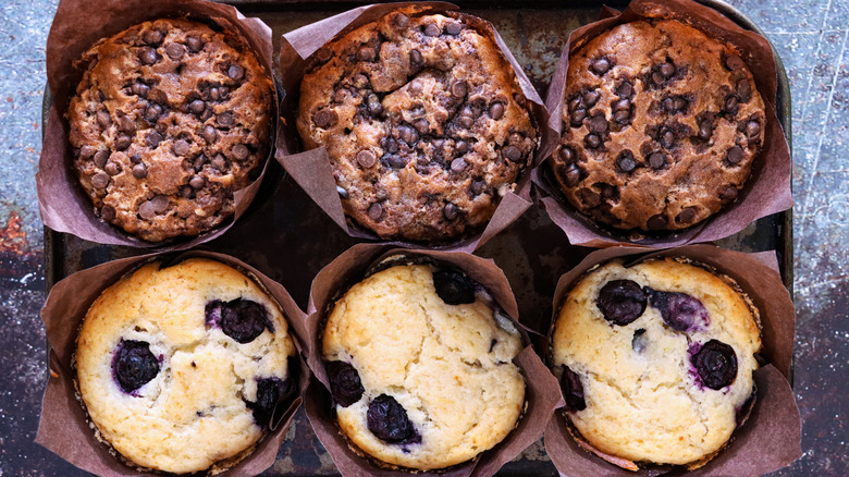 Chocolate and blueberry muffins in a tin