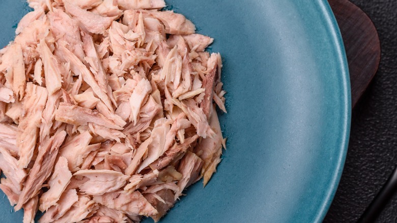 Canned tuna on a plate