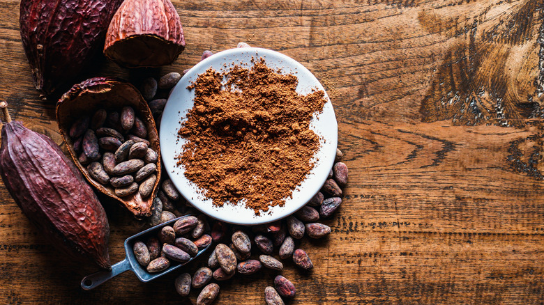 A bowl of cocoa powder surrounded by cacao beans.