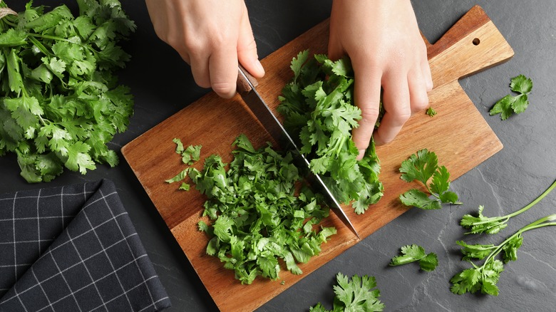 Hands chopping cilantro on board