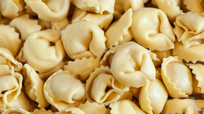 Stuffed tortellini pasta close up