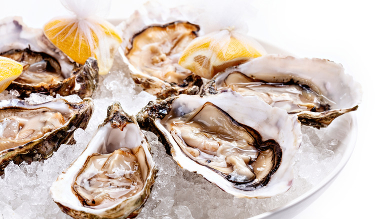 Shucked oysters on ice with lemons in netted bags