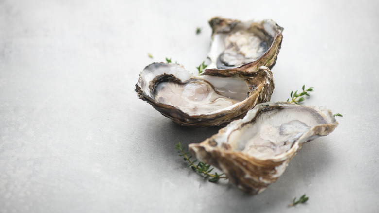 Shucked oysters sitting on a countertop