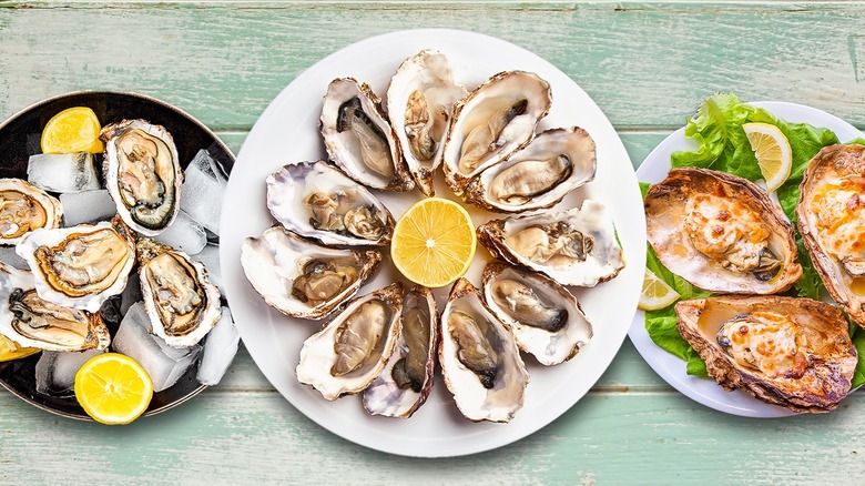 Plates of chilled oysters on half shells