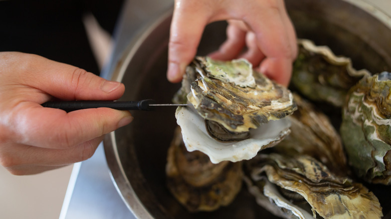 A person shucking oysters using a knife