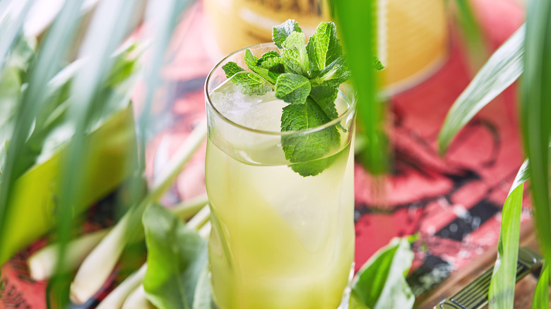 lemongrass cocktail with mint garnish