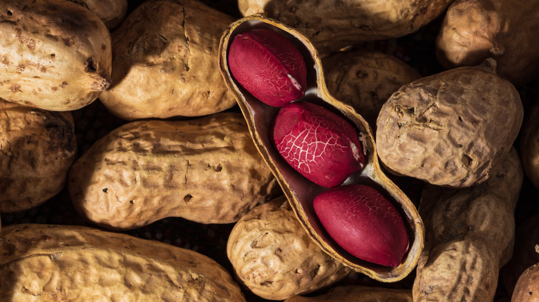 shelled peanut on bed of peanuts