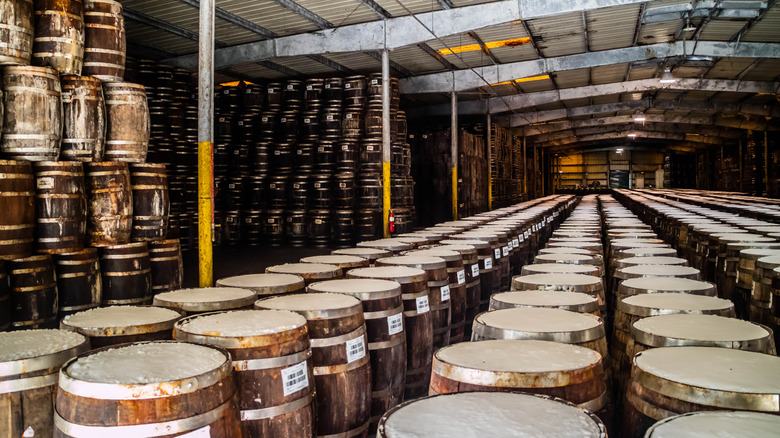 Barrels of Tabasco sauce aging 