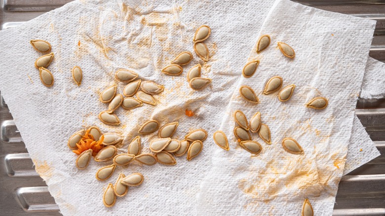 pumpkin seeds on paper towel