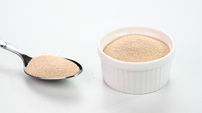 dry yeast in a container with spoon