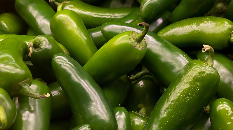 pile of jalapeno peppers