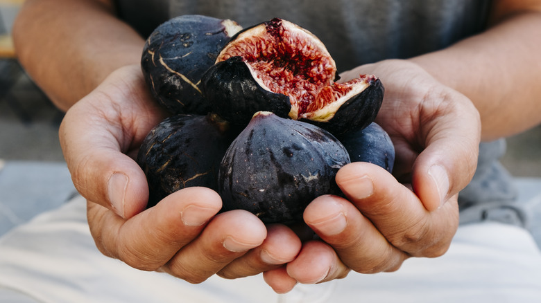 Hands holding ripe figs