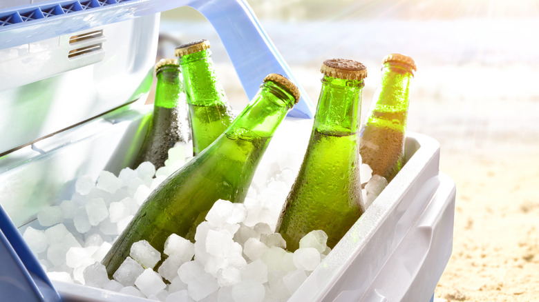 beer bottles in cooler