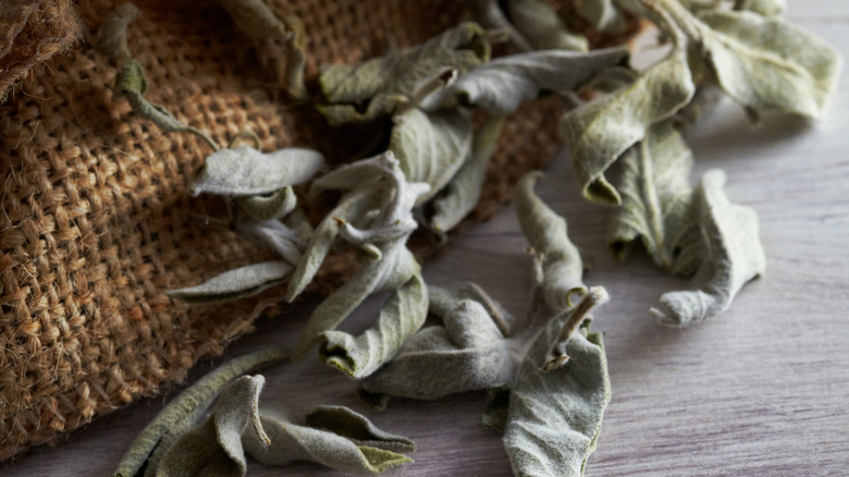 dried sage leaves spilling out out burlap sack