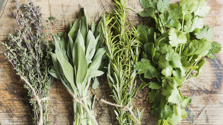 bundled herbs on wooden cutting board