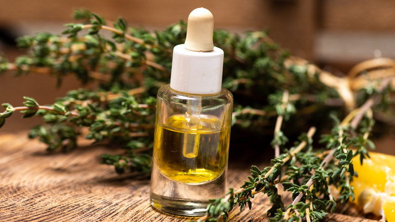 thyme leaves and essential oil