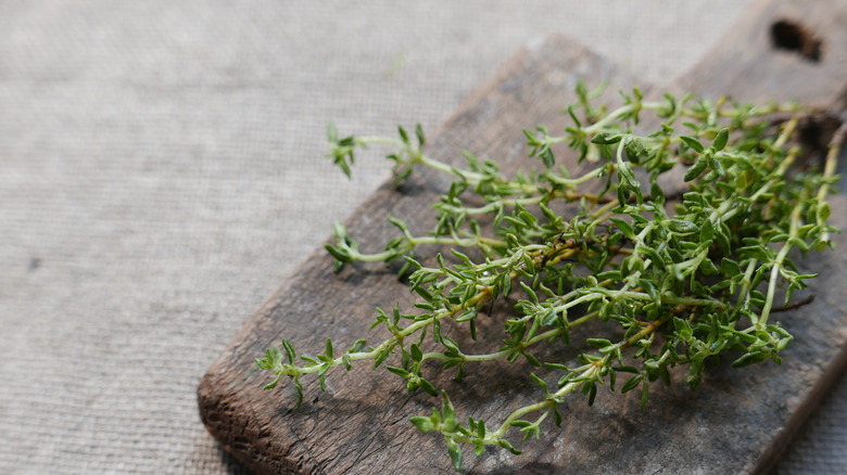 closeup sprigs of thyme