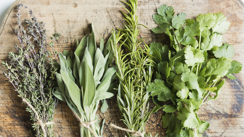 bundles of fresh herbs